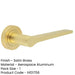 Stylish Satin Brass Door Handle Modern Interiors Interior Handle-1