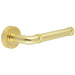 Satin Brass Lever Door Handle Modern Design Stylish Interiors Interior Handle