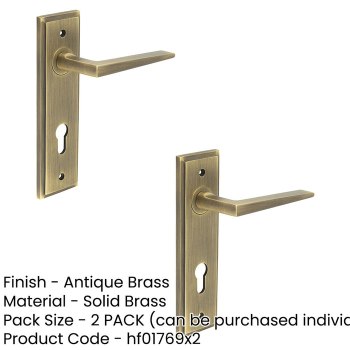 PACK Antique Brass Euro Backplate Door Handle Modern Homes Interior Handle (1)-1