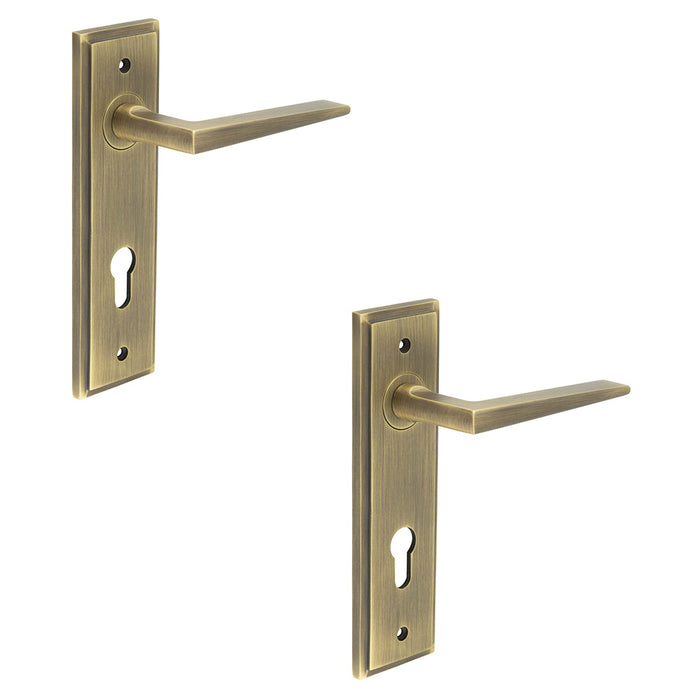 PACK Antique Brass Euro Backplate Door Handle Modern Homes Interior Handle (1)