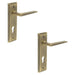 PACK Antique Brass Euro Backplate Door Handle Modern Homes Interior Handle (1)