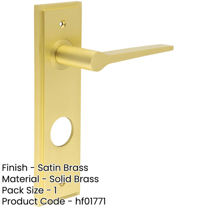 Satin Brass Lever Door Handle with Backplate Modern Bathrooms Interior Handle-1