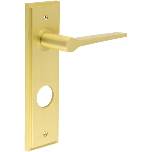 Satin Brass Lever Door Handle with Backplate Modern Bathrooms Interior Handle