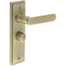 Antique Brass Bathroom Door Handle with Backplate Turn Release Mechanism Interior Handle