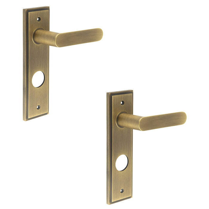 PACK Antique Brass Bathroom Door Handle with Backplate Interior Handle (1)