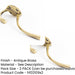 PACK Premium Solid Brass Coat Hook 142mm Antique Finish Wall Mounted Clothing Hook (1)-1