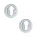 PACK Luxury Designer Euro Profile Escutcheons with 50mm Round Rose Satin Chrome Finish Hole Cover (1)
