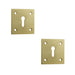 PACK Square Polished Brass Door Escutcheon 50x50mm Elegant Finishes Hole Cover (1)