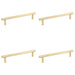 PACK Satin Brass Pull Handle 300mm Stylish Home Decor Door Handle