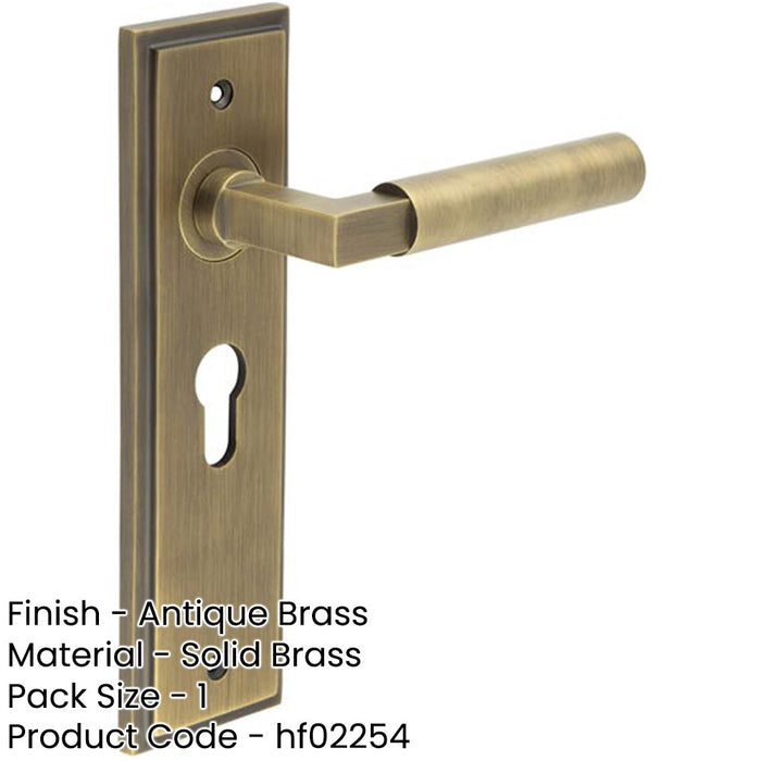 Antique Brass Euro Backplate Door Handle with Stylish Design Solid Brass Interior Lever-1