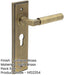 Antique Brass Euro Backplate Door Handle with Stylish Design Solid Brass Interior Lever-1