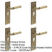 PACK Antique Brass Euro Backplate Door Handle with Stylish Design Solid Brass Interior Lever-1