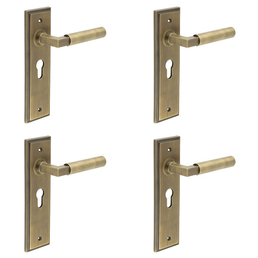 PACK Antique Brass Euro Backplate Door Handle with Stylish Design Solid Brass Interior Lever