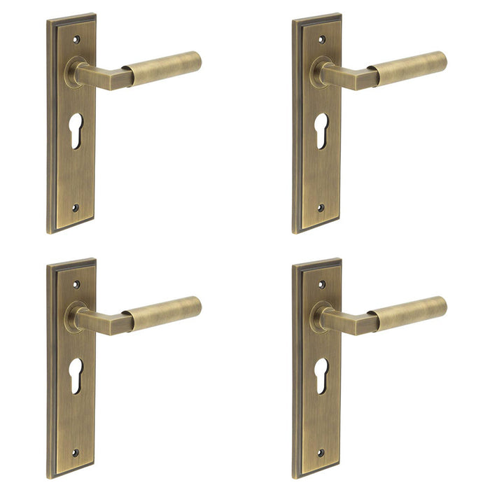 PACK Antique Brass Euro Backplate Door Handle with Stylish Design Solid Brass Interior Lever