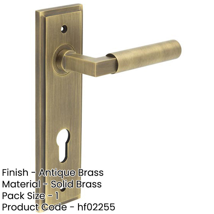 Elegant Antique Brass Door Handle with Euro Backplate Solid Brass Interior Lever-1