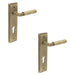 PACK Elegant Antique Brass Door Handle with Euro Backplate Solid Brass Interior Lever (3)
