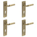 PACK Elegant Antique Brass Door Handle with Euro Backplate Solid Brass Interior Lever