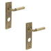 PACK Antique Brass Lever Door Handle with Backplate Bathrooms Solid Brass Interior Lever (1)