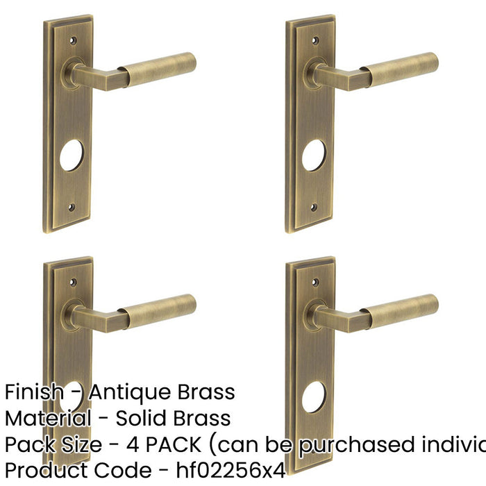 PACK Antique Brass Lever Door Handle with Backplate Bathrooms Solid Brass Interior Lever-1