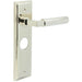 Stylish Polished Nickel Bathroom Door Handle with Backplate Solid Brass Interior Lever