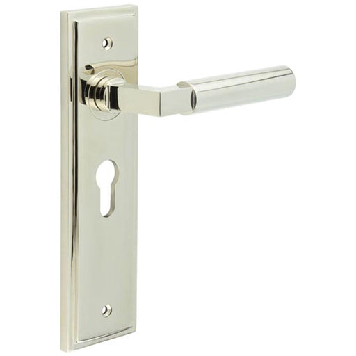 Luxurious Euro Backplate Door Handle Polished Nickel Solid Brass Interior Lever