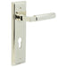 Luxurious Polished Nickel Door Handle with Euro Backplate Solid Brass Interior Lever