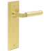 Stylish Satin Brass Door Handle Latch Backplate Modern Homes Solid Brass Interior Lever