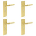 PACK Elegant Satin Brass Door Handle Lock Backplate Modern Homes Solid Brass Interior Lever