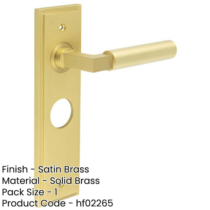 Satin Brass Bathroom Door Handle with Backplate Modern Homes Solid Brass Interior Lever-1