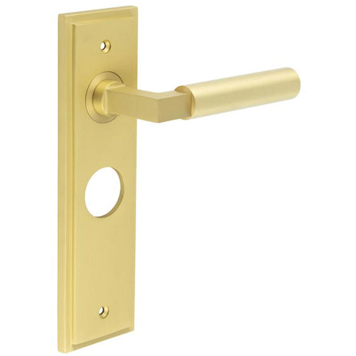 Satin Brass Bathroom Door Handle with Backplate Modern Homes Solid Brass Interior Lever