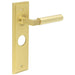 Satin Brass Bathroom Door Handle with Backplate Modern Homes Solid Brass Interior Lever