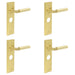 PACK Satin Brass Bathroom Door Handle with Backplate Modern Homes Solid Brass Interior Lever