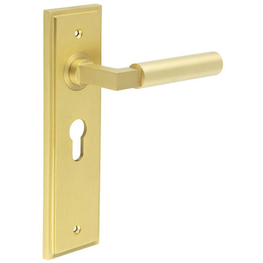 Satin Brass Euro Backplate Door Handle Modern Homes Solid Brass Interior Lever