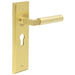 Satin Brass Euro Backplate Door Handle Modern Homes Solid Brass Interior Lever