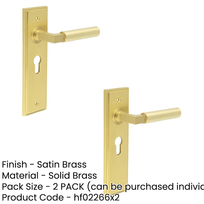 PACK Satin Brass Euro Backplate Door Handle Modern Homes Solid Brass Interior Lever (1)-1