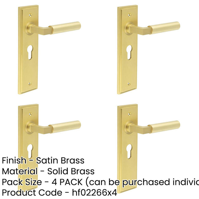 PACK Satin Brass Euro Backplate Door Handle Modern Homes Solid Brass Interior Lever-1