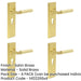 PACK Satin Brass Euro Backplate Door Handle Modern Homes Solid Brass Interior Lever-1