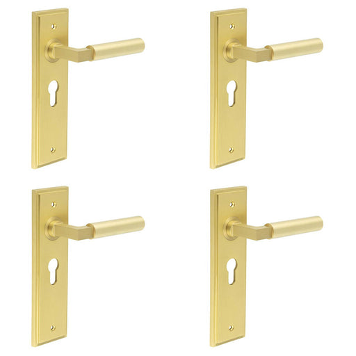 PACK Satin Brass Euro Backplate Door Handle Modern Homes Solid Brass Interior Lever