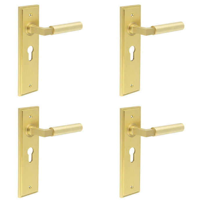 PACK Satin Brass Euro Backplate Door Handle Modern Homes Solid Brass Interior Lever