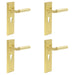 PACK Satin Brass Euro Backplate Door Handle Modern Homes Solid Brass Interior Lever