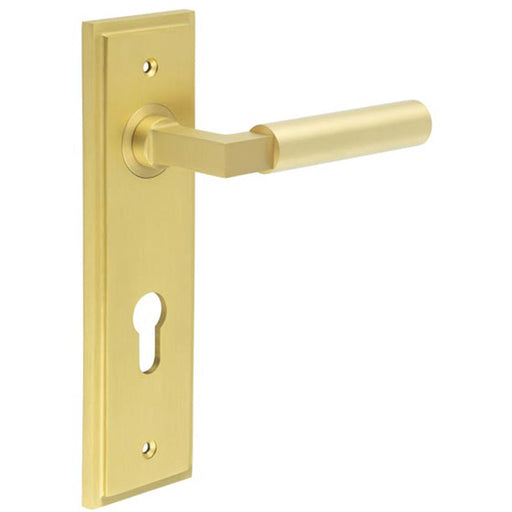 Satin Brass Door Handle with Euro Backplate Stylish Interiors Solid Brass Interior Lever