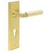 Satin Brass Door Handle with Euro Backplate Stylish Interiors Solid Brass Interior Lever