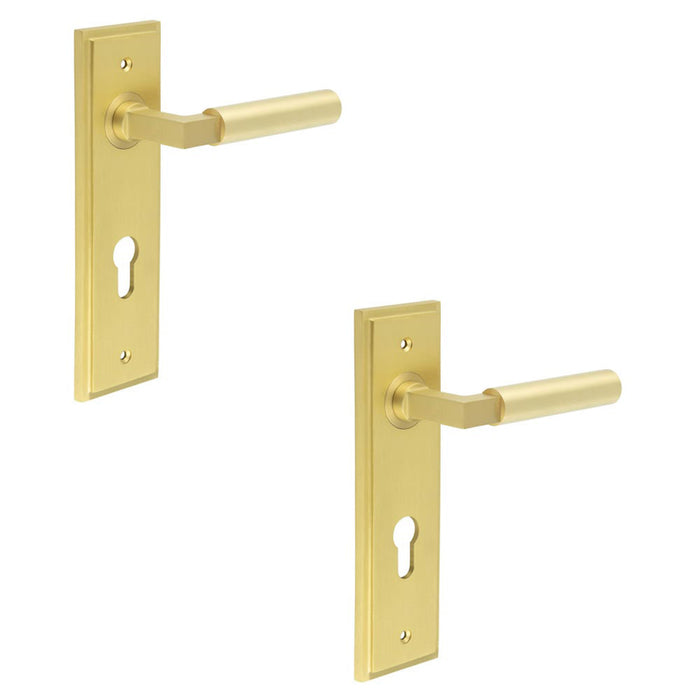 PACK Satin Brass Door Handle with Euro Backplate Stylish Interiors Solid Brass Interior Lever (1)