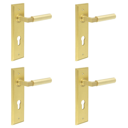 PACK Satin Brass Door Handle with Euro Backplate Stylish Interiors Solid Brass Interior Lever