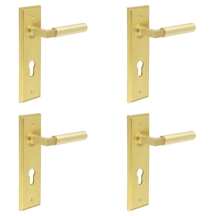 PACK Satin Brass Door Handle with Euro Backplate Stylish Interiors Solid Brass Interior Lever