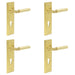 PACK Satin Brass Door Handle with Euro Backplate Stylish Interiors Solid Brass Interior Lever