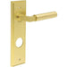 Satin Brass Bathroom Door Handle with Stylish Backplate Solid Brass Interior Lever