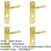 PACK Satin Brass Bathroom Door Handle with Stylish Backplate Solid Brass Interior Lever-1