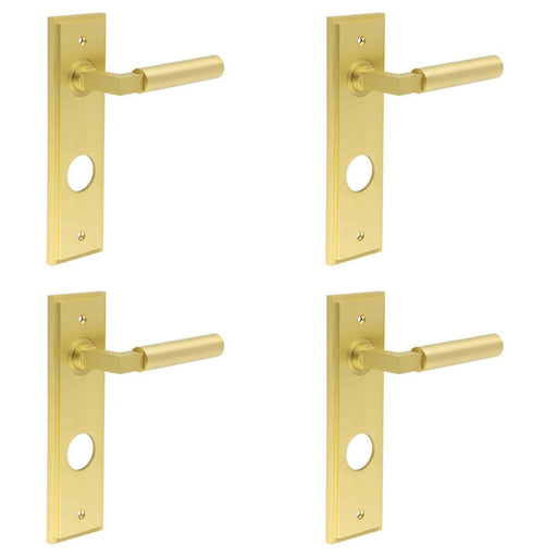 PACK Satin Brass Bathroom Door Handle with Stylish Backplate Solid Brass Interior Lever