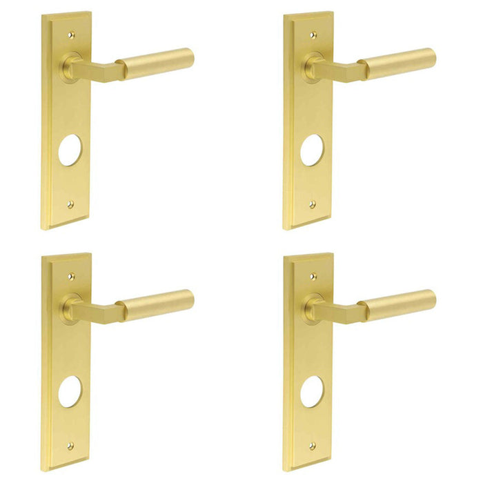 PACK Satin Brass Bathroom Door Handle with Stylish Backplate Solid Brass Interior Lever